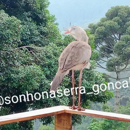 Bangalo Sonho Na Serra Goncalves Exterior photo