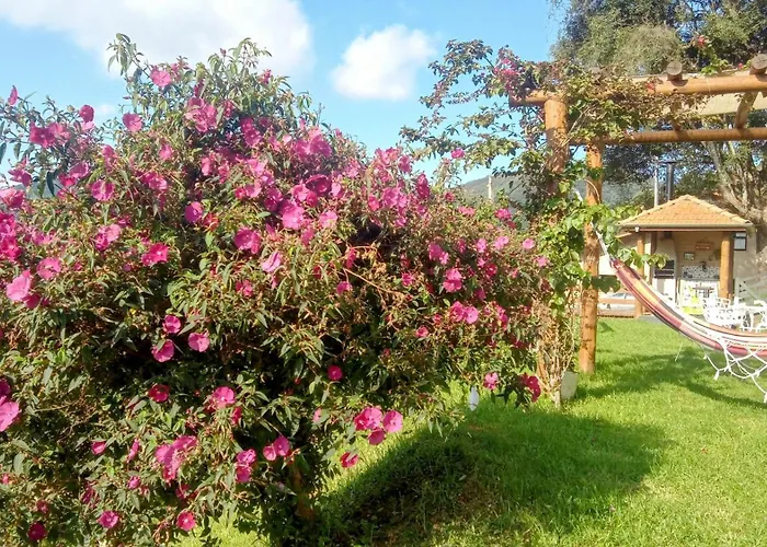 Bangalo Sonho Na Serra