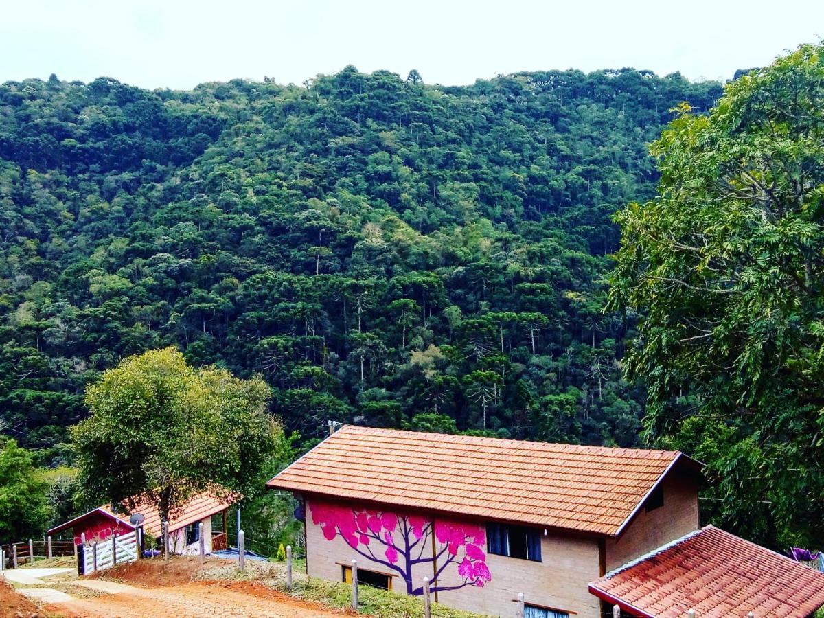 Bangalo Sonho Na Serra Holiday home *