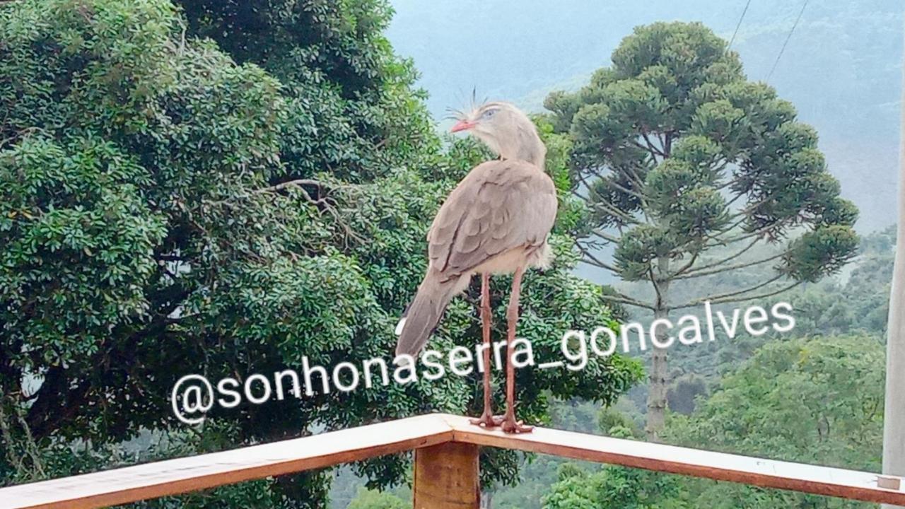 Bangalo Sonho Na Serra Holiday home