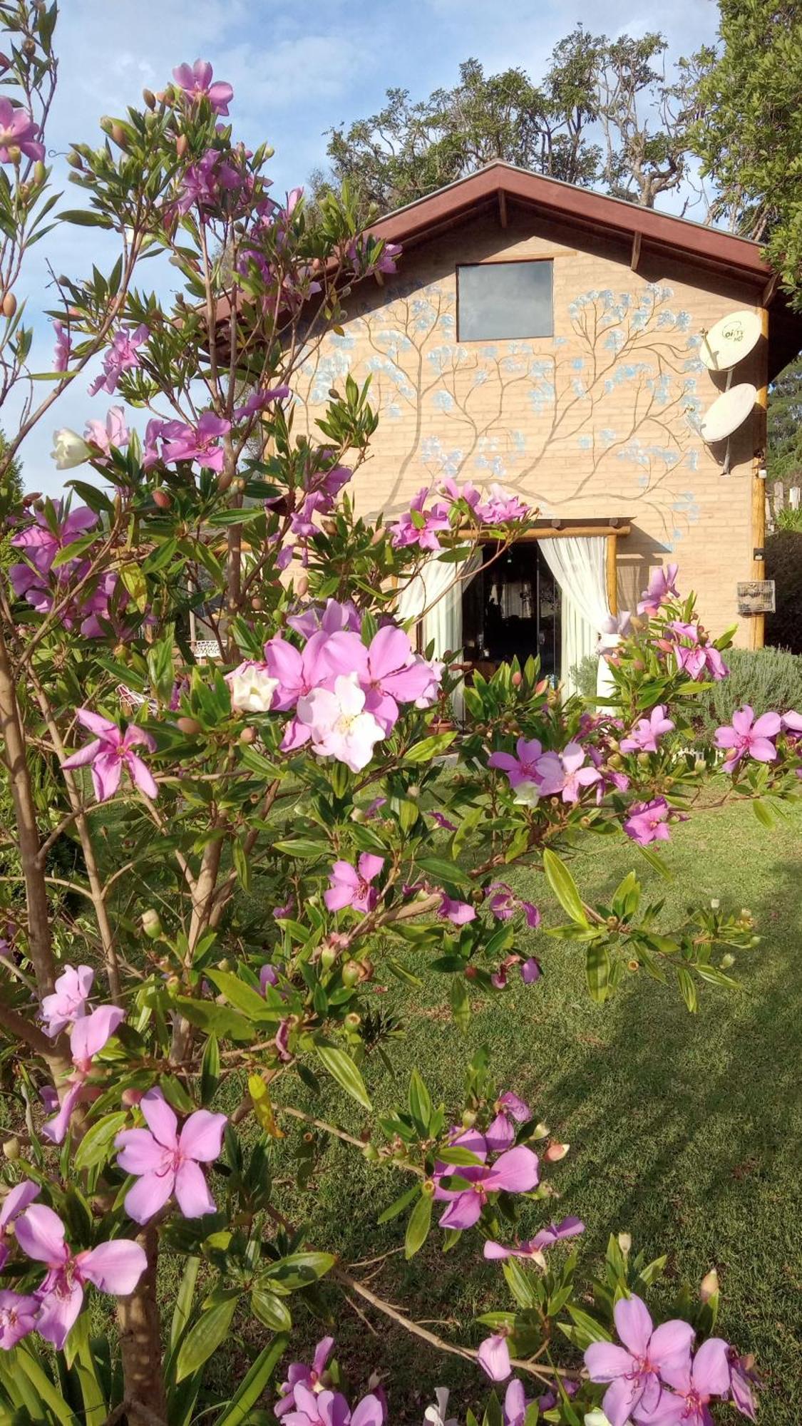 Bangalo Sonho Na Serra Holiday home Goncalves