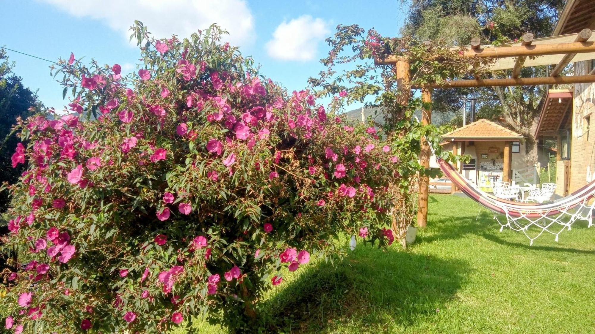 Bangalo Sonho Na Serra Holiday home